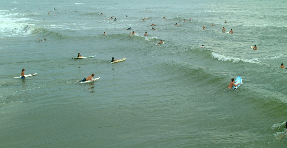 (03) Dscf3840 (bushfish - morning surf 1).jpg   (1000x517)   193 Kb                                    Click to display next picture